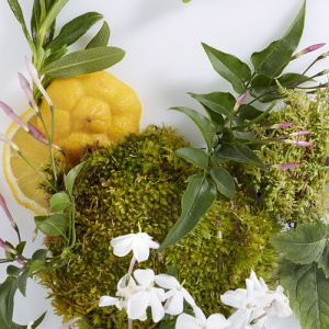 Шипровые ароматы. Под знаком дуба