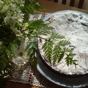 Польский яблочный пирог  " Jablecznik"