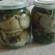 Соленые сыроежки