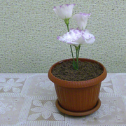 Всем школьникам посвящается...Мороженое в цветочном горшочке.