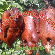 Утка горячего копчения