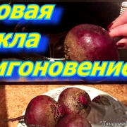 Свекла готова за мгновенье!!! Винегрет,салат ,шуба хоть каждый день!!!
