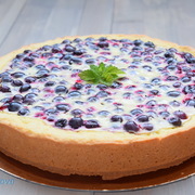 Тарт с йогуртовым кремом и чёрной смородиной.