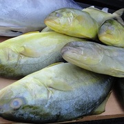 Фото приготовления рецепта: Рыба на гриле с рисом и горчичным соусом ! ! !